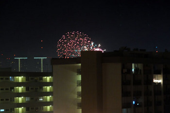fireworks_123110-01.jpg